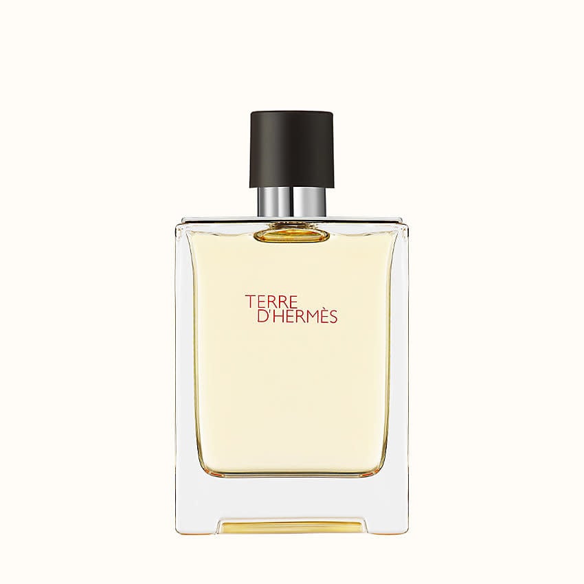 Terre D'Hermes Eau de Toilette for Men