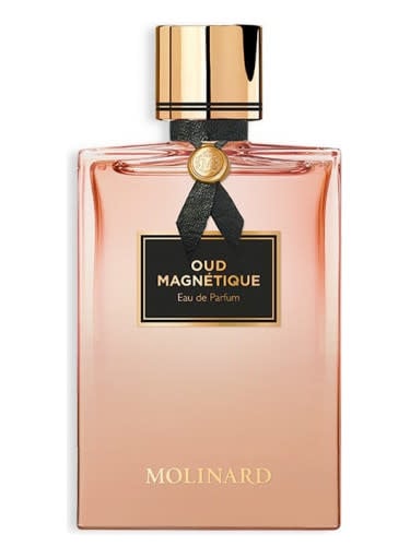 Oud Magnetique Eau de Parfum for Men and Women