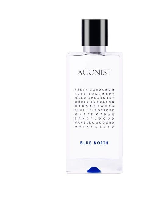 Blue North Perfume for Men and Women