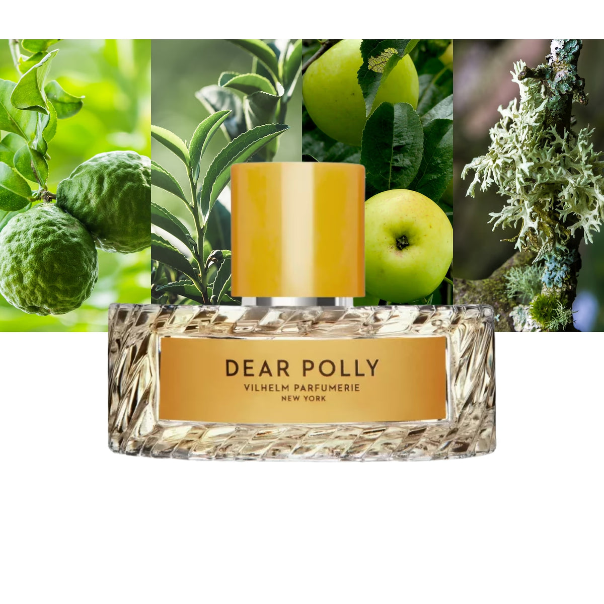 Dear Polly Eau de Parfum