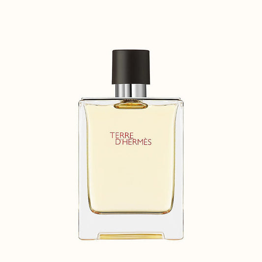 Terre D'Hermes Eau de Toilette for Men