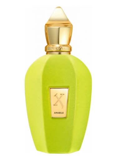 Amabile Eau de Parfum for Men and Women